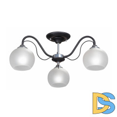 Потолочная люстра Vitaluce V3948-1/3PL