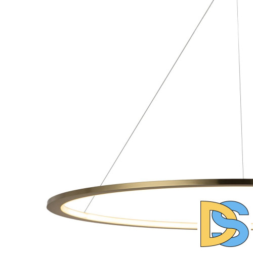 Подвесной светодиодный светильник Loft IT Ring 10014XXL