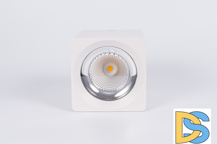 Накладной светильник Fiberli CH-SD220-1 12120101