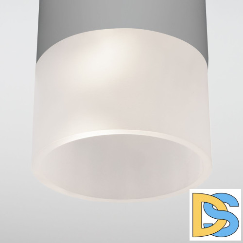 Уличный потолочный светильник Elektrostandard Light LED 4690389177934