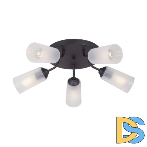 Потолочная люстра Vitaluce V3762-1/5PL