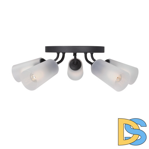 Потолочная люстра Vitaluce V3762-1/5PL