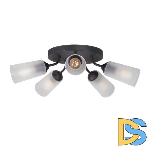 Потолочная люстра Vitaluce V3762-1/5PL