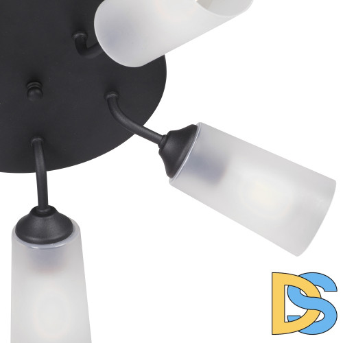 Потолочная люстра Vitaluce V3762-1/5PL