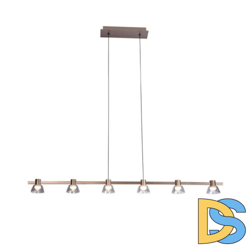 Подвесная люстра Aployt Rezeda APL.788.03.06