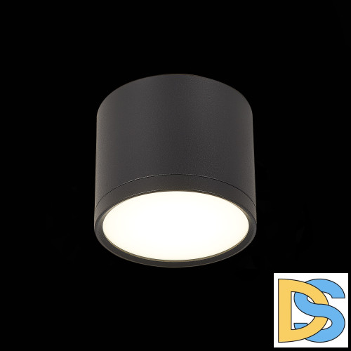 Потолочный светильник ST Luce Rene ST113.442.09