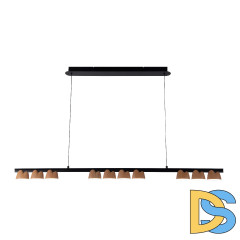 Подвесная люстра Favourite Interline 4266-10P