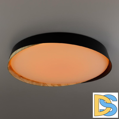 Потолочный светильник Citilux Bonny CL754451G