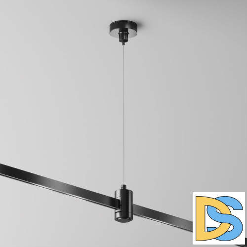 Подвес тросовый одинарный Maytoni Flarity TRA157SW-S1-B