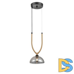 Подвесной светильник Vele Luce Cloe VL5434P01