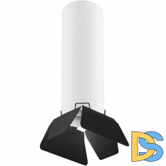 Накладной светильник Lightstar RULLO R496437 (214496+202437)