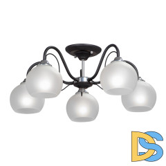 Потолочная люстра Vitaluce V3948-1/5PL