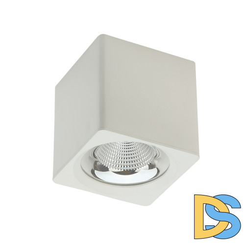 Накладной светильник Fiberli CH-SD230-1 12120102