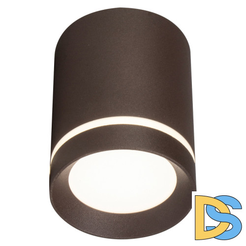 Потолочный светильник 20009 20009SMU/01LED CF