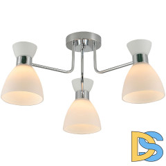 Потолочная люстра Reluce 07303-0.3-03