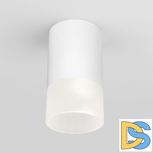 Уличный потолочный светильник Elektrostandard Light LED 4690389177927