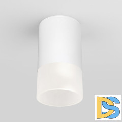 Уличный потолочный светильник Elektrostandard Light LED 4690389177927