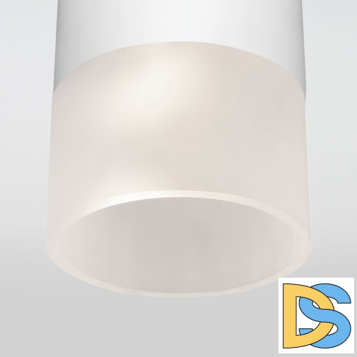 Уличный потолочный светильник Elektrostandard Light LED 4690389177927