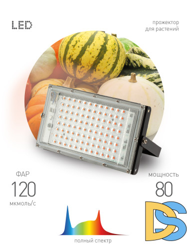 Фитопрожектор для растений Эра FITO-80W-Ra90-LED-Y Б0057284