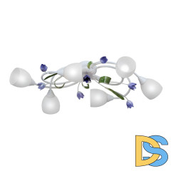 Потолочная люстра Vitaluce V1467-0/6PL