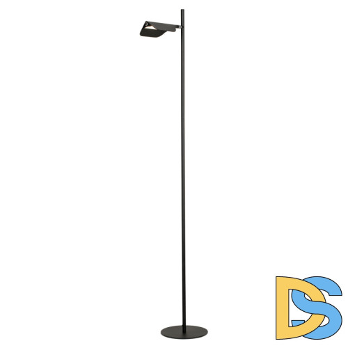 Торшер Lussole LSP-0595