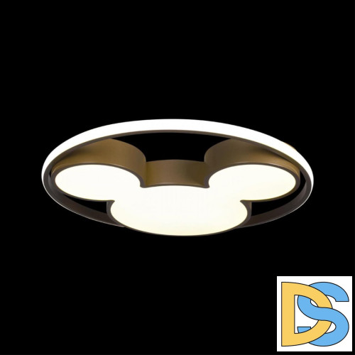 Потолочный светильник Loft IT Mike 10168