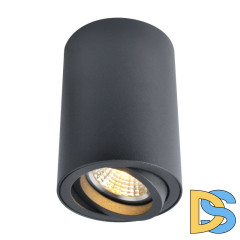 Потолочный светильник Arte Lamp A1560PL-1BK