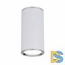 Потолочный светильник Elektrostandard DLN101 GU10 WH белый 4690389135859