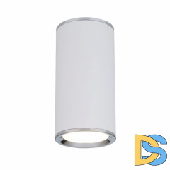 Потолочный светильник Elektrostandard DLN101 GU10 WH белый 4690389135859