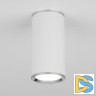 Потолочный светильник Elektrostandard DLN101 GU10 WH белый 4690389135859