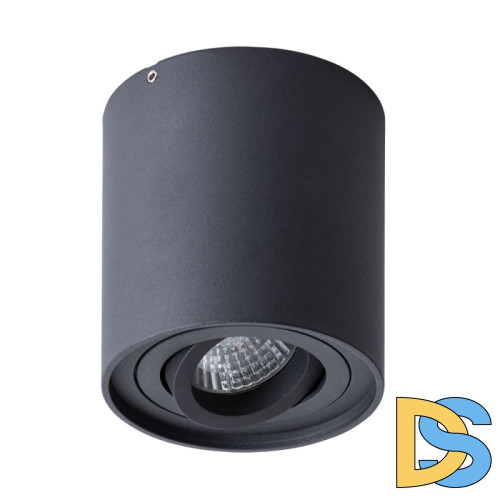 Потолочный светильник Arte Lamp Falcon A5645PL-1BK