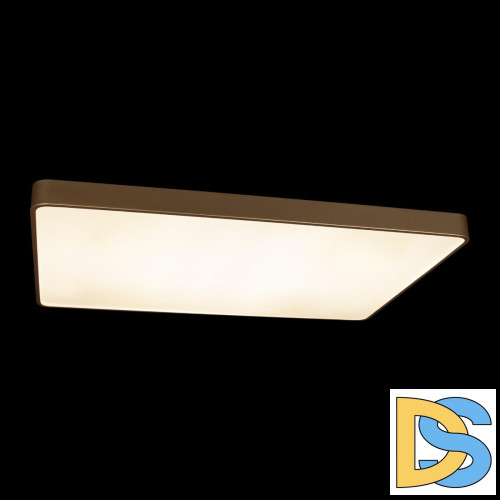 Потолочный светильник Loft IT Flims 10228/E