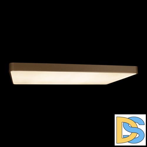 Потолочный светильник Loft IT Flims 10228/E