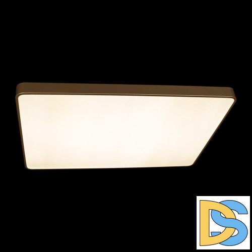 Потолочный светильник Loft IT Flims 10228/E