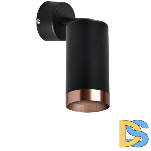 Встраиваемый спот Lightstar Rullo RB437430 (214437+590007+203430)