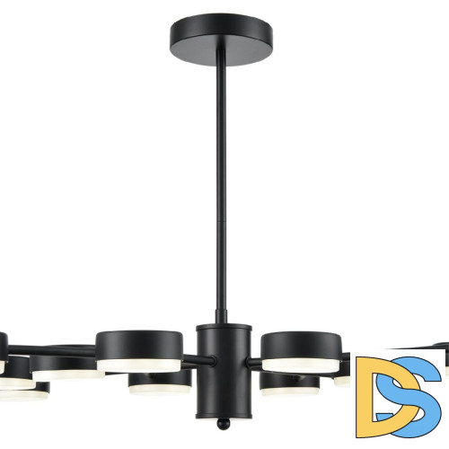 Люстра на штанге Lumion Torina 8117/12