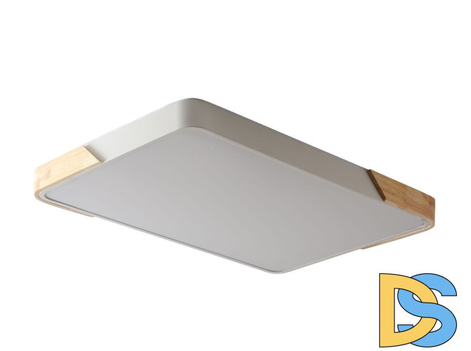 Потолочный светильник Zortes Alberro ZRS.01233.60