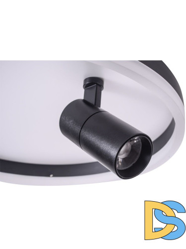 Потолочный светодиодный светильник Zortes Raizy ZRS.1888.03