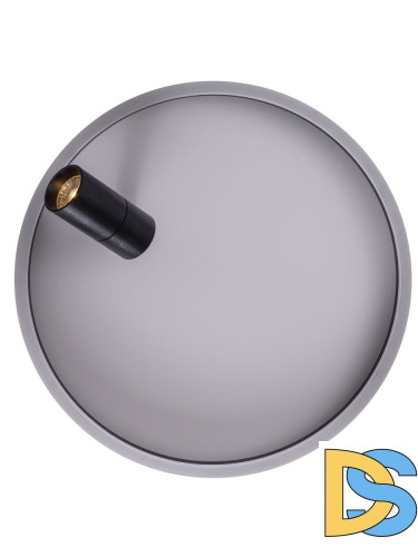 Потолочный светодиодный светильник Zortes Raizy ZRS.1888.03