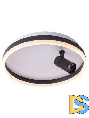 Потолочный светодиодный светильник Zortes Raizy ZRS.1888.03