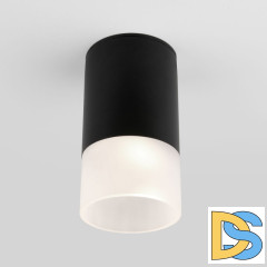 Уличный потолочный светильник Elektrostandard Light LED 4690389177910