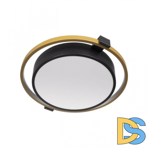 Потолочный светильник Loft IT Mike 10169