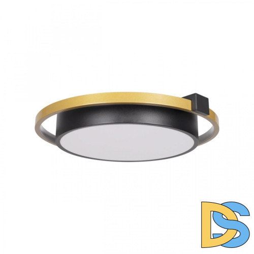 Потолочный светильник Loft IT Mike 10169