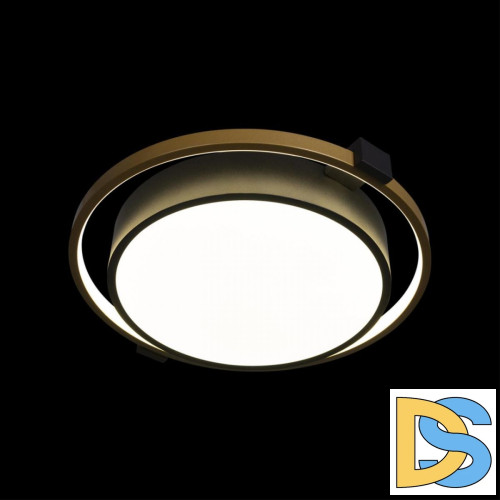 Потолочный светильник Loft IT Mike 10169