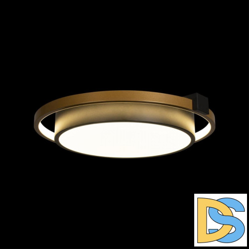 Потолочный светильник Loft IT Mike 10169