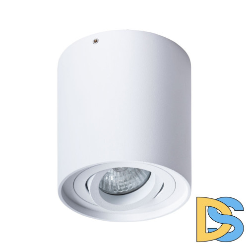 Потолочный светильник Arte Lamp Falcon A5645PL-1WH