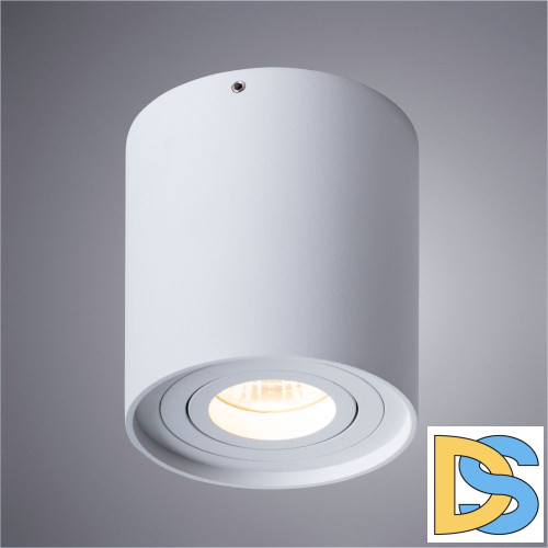 Потолочный светильник Arte Lamp Falcon A5645PL-1WH