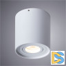Потолочный светильник Arte Lamp Falcon A5645PL-1WH