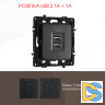 Розетка USB 2.1А+1А Arte Milano 217.46-1.black