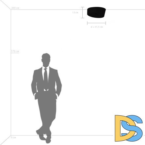 Потолочный светильник Lightstar Celesta 809356